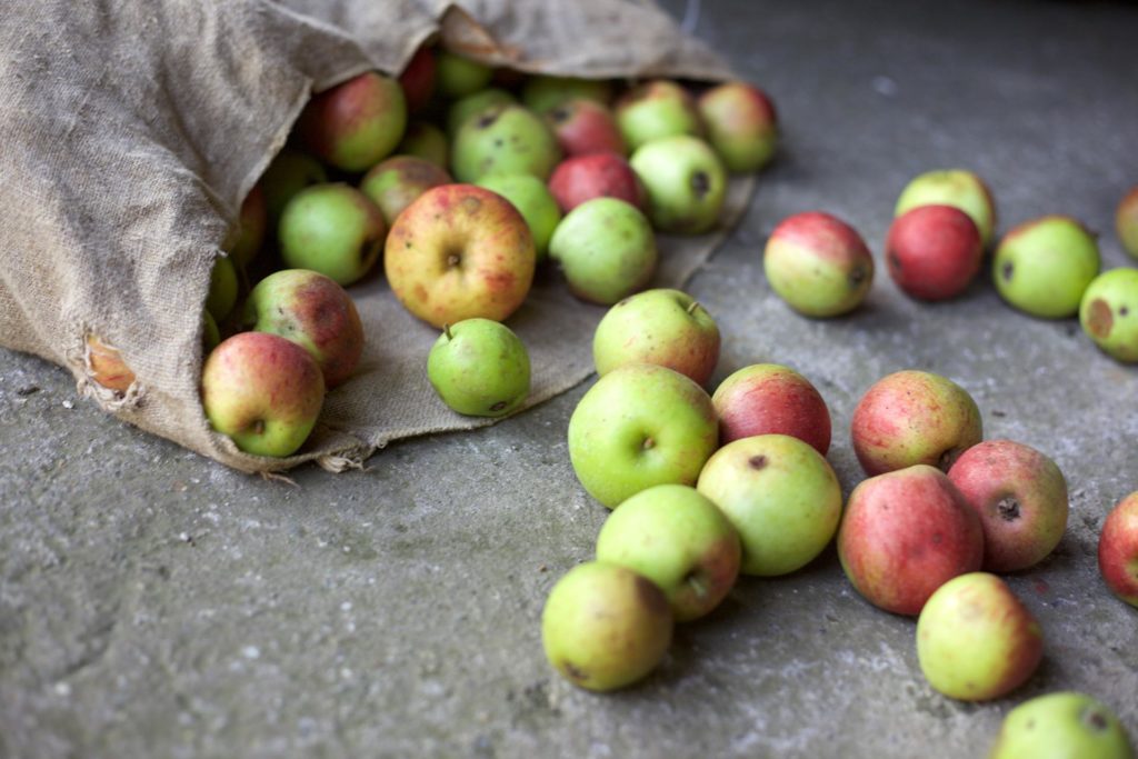 Food Waste - Apples